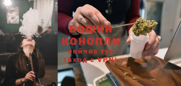 PSILOCYBIN Горняк