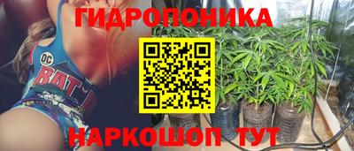 крисы Рузаевка