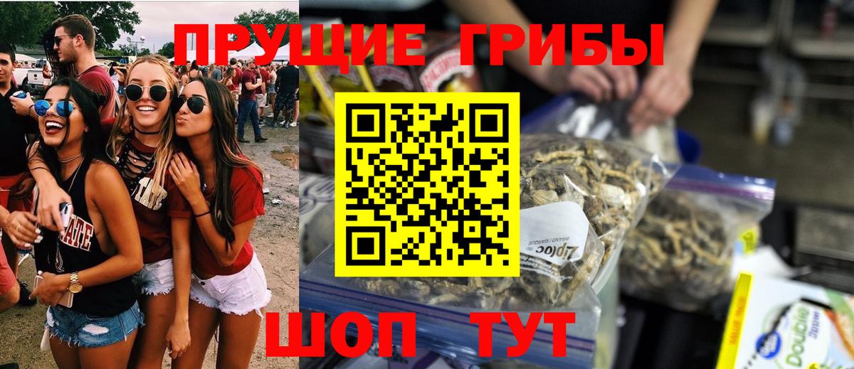 Псилоцибиновые грибы мухоморы  Галлюциногенные грибы Psilocybe  купить наркотик  Копейск  Вход с VPN 
